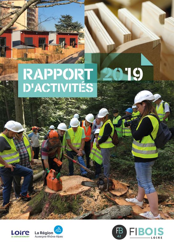 rapport-d-activites-2019