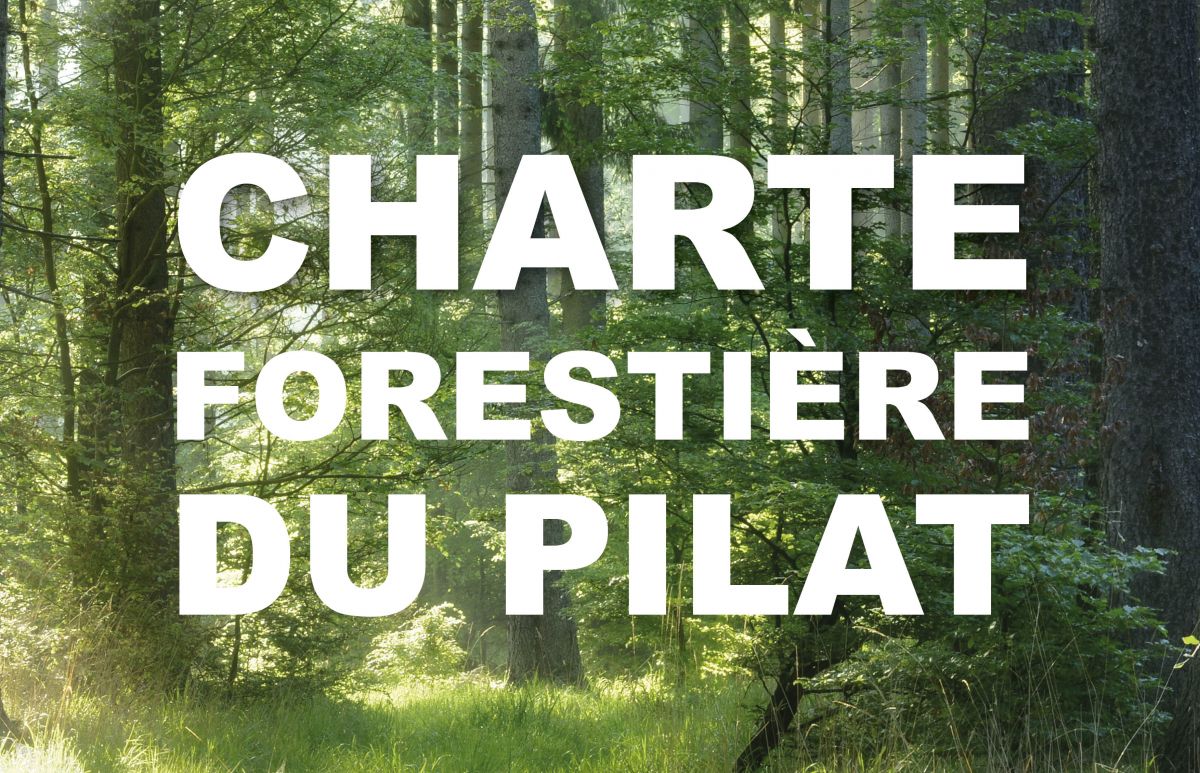 relance-de-la-charte-forestiere-du-pilat-en-2020