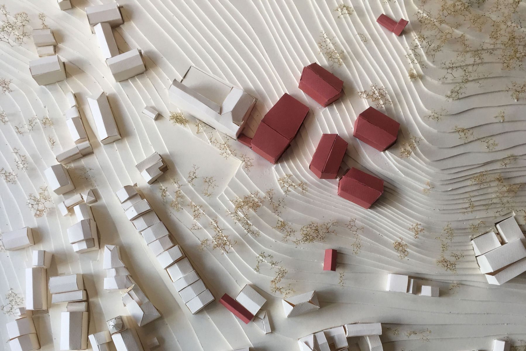 Maquette projet Sylva