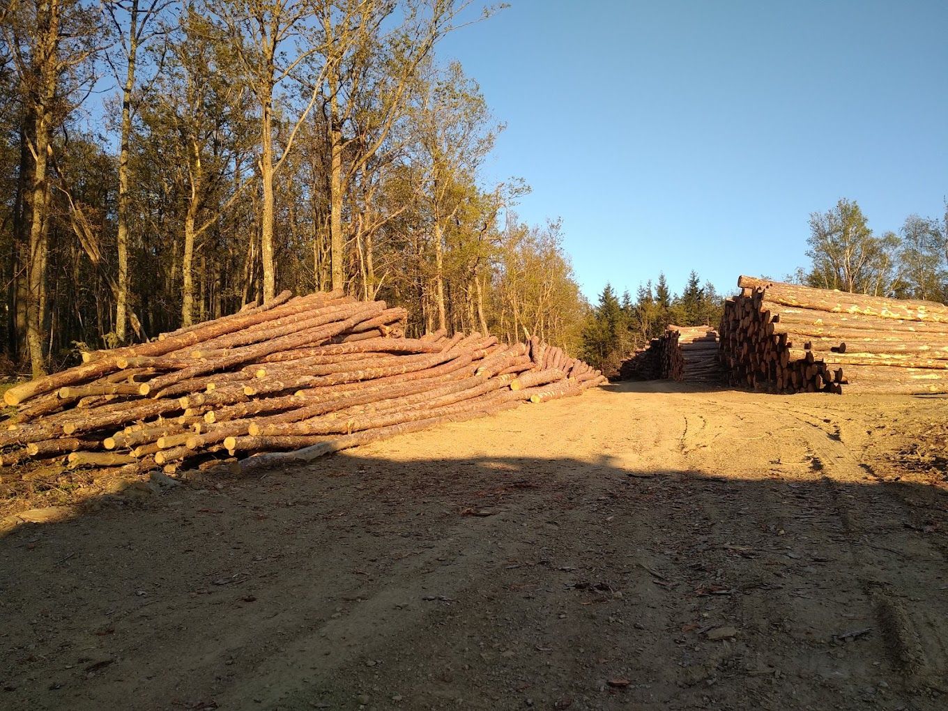 Genthial Travaux du Pilat